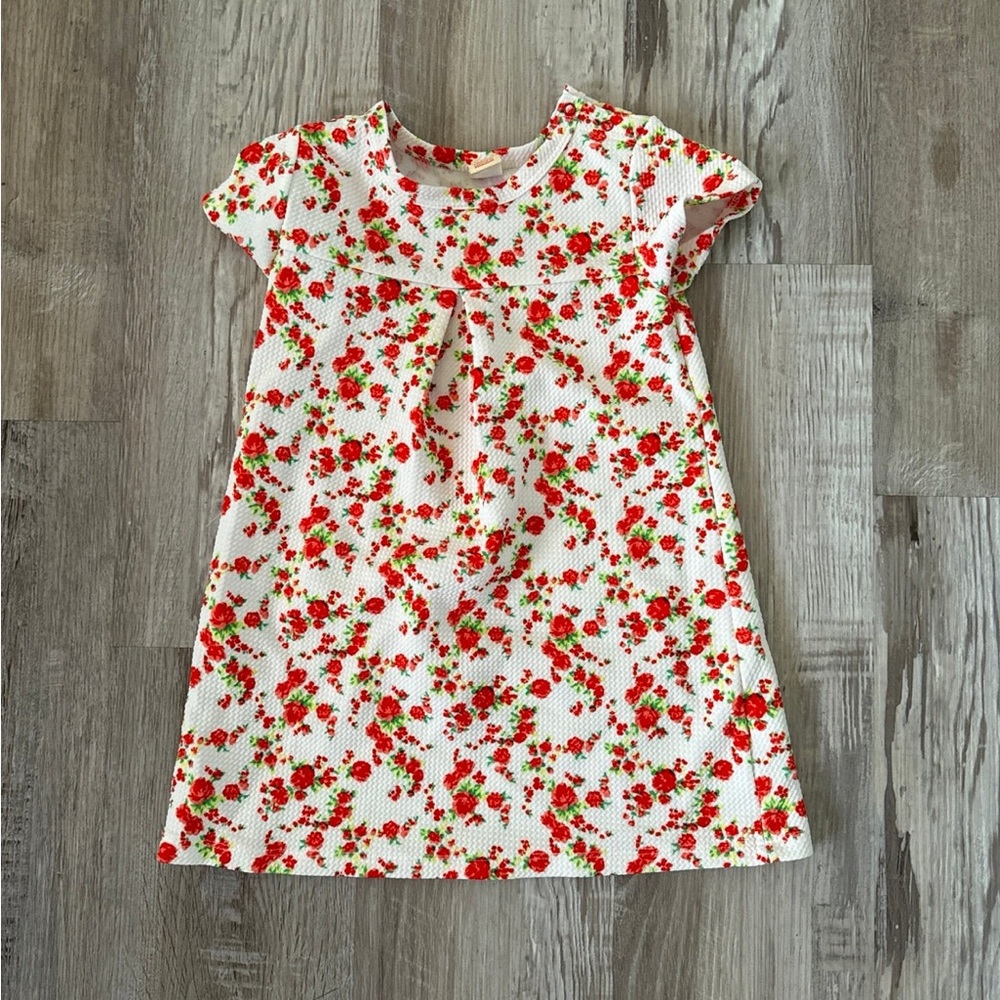 Harper Canyon Dress 18m
